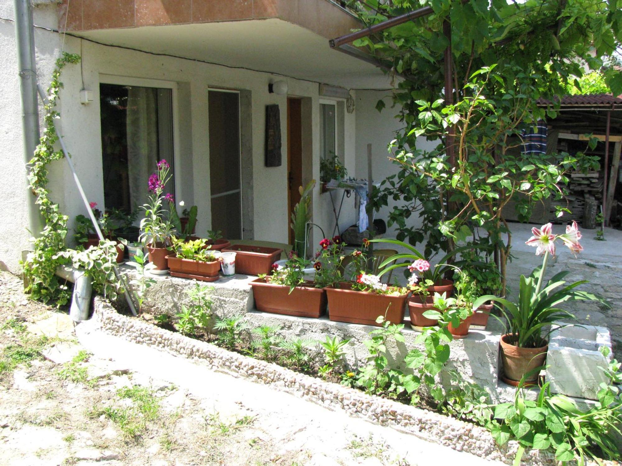 Guest House Familia Samovodene Extérieur photo