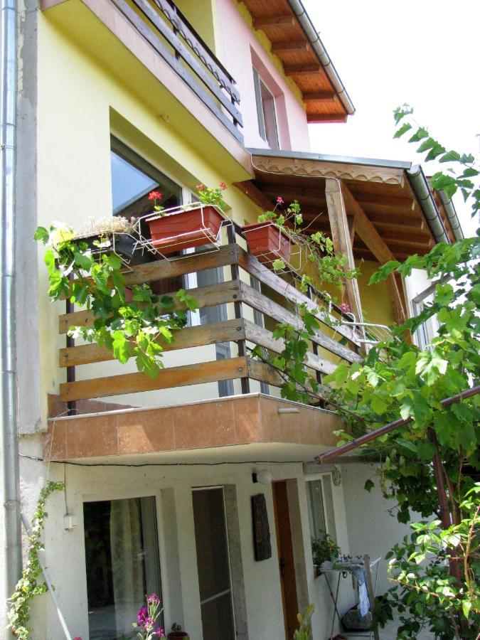 Guest House Familia Samovodene Extérieur photo